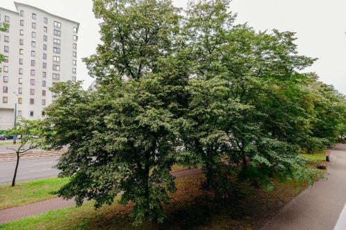 ShortStayPoland Jana Pawła (B27) - image 14