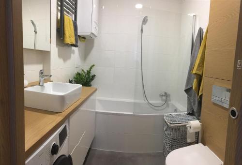Apartament Rynek - Oficyna - image 2