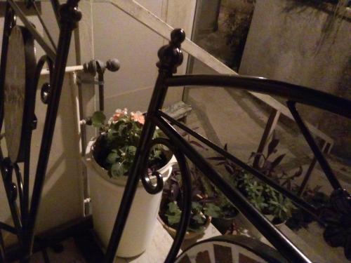  Leopolda Dobrinj in Dobrinj