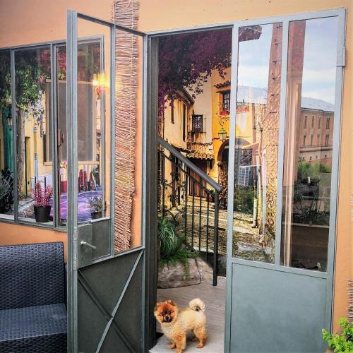 appartment & rooms SecondoPiano - image 14