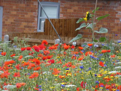 The Cow 'ouse, Wolds Way Holiday Cottages, 1 bed cottage