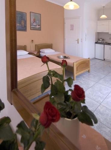 Harisis Apartments - image 5