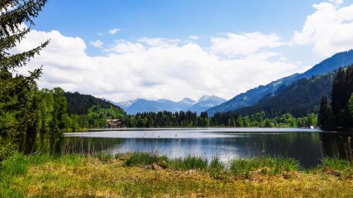 Privatzimmervermietung Foidlbauer