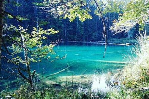 Gemütliches Ferienhaus am Waldrand in Tröpolach, Österreich
