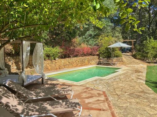 El Escondite De Pedro Malillo - image 8