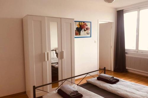 Mitten im Achten. Zentrale Wohnung in Wien, Vídeň (fotografie 9)