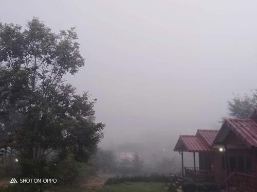 บ้านในสายหมอกบุญแจ้งโฮมสเตย์, Khao Kho (fotografie 3)