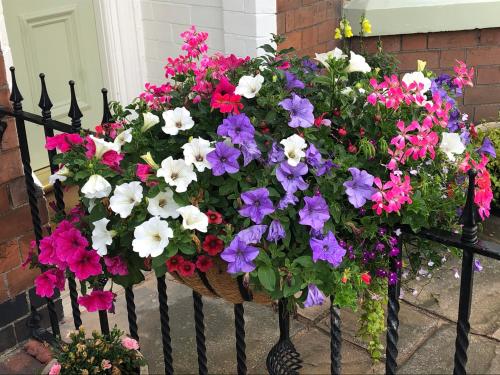 Carlton Guest House - image 4