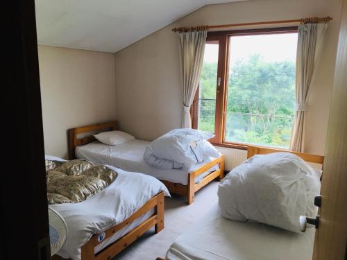 3 twin beds