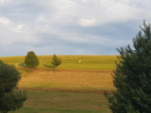 景觀, Gasthof & Pension Erlengrund in 格爾斯費爾德/羅恩