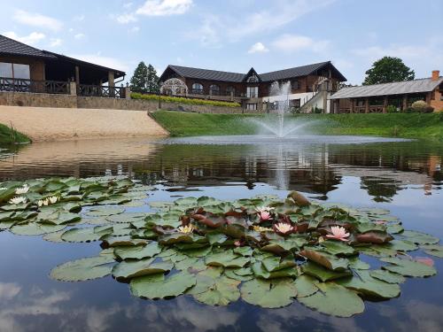 Вилла льва фото Вилла льва фото