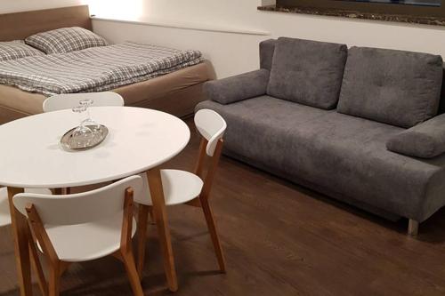 Suite with back garden, Karlovy Vary (photo 6)