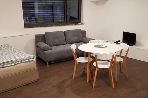 Suite with back garden, Karlovy Vary (photo 8)