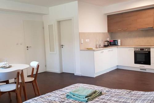 Suite with back garden, Karlovy Vary (photo 11)