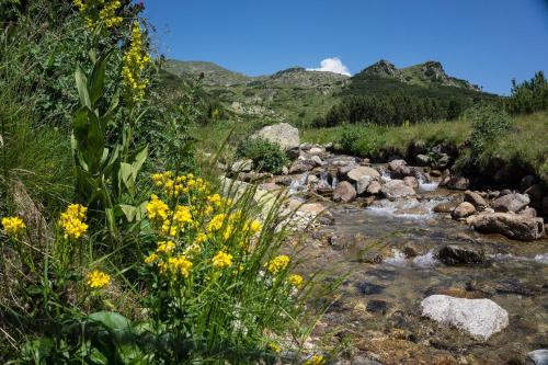 Uitzicht, Guest House Ela in Dolna Banya