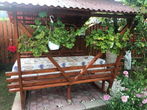 CASA TODEA - image 13