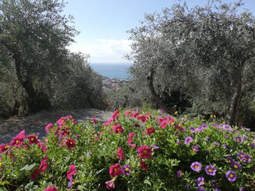 Casa Elena in Moneglia