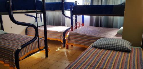 Hostel Vallarta Room Type - Bed in 8-Bed Dormitory Room