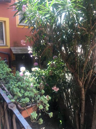 Appartamento Fiordaliso 3