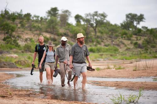 Makumu Private Game Lodge Makumu Private Game Lodge