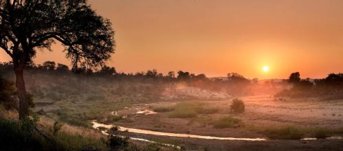Makumu Private Game Lodge Makumu Private Game Lodge
