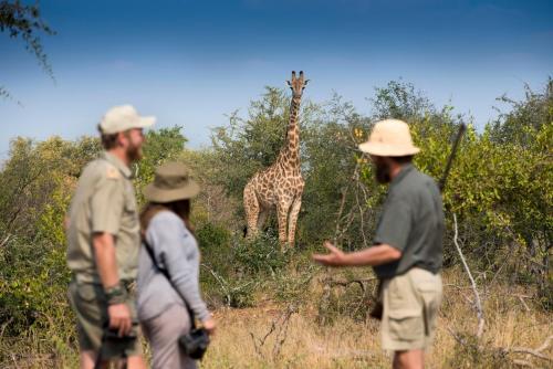 Makumu Private Game Lodge Makumu Private Game Lodge