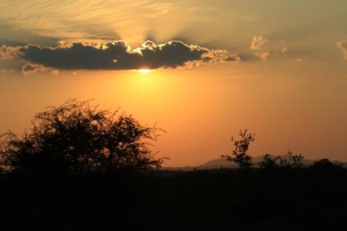 Makumu Private Game Lodge Makumu Private Game Lodge