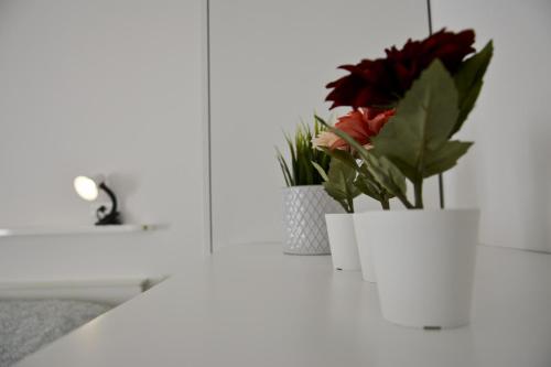  Appartamento Casa Giardino - Affitti Brevi Italia in Rimini