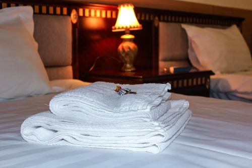 Sokolniki Hotel - image 4