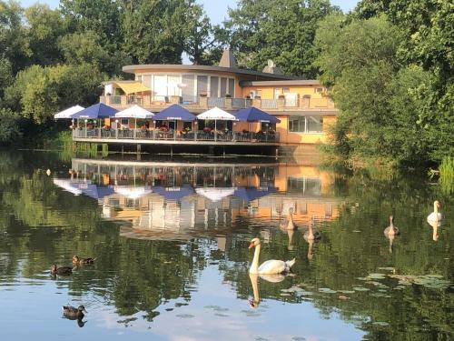 Pension am See in Torgau, Deutschland