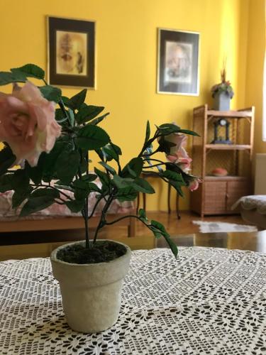 Apartman L7 Zlatibor - image 7