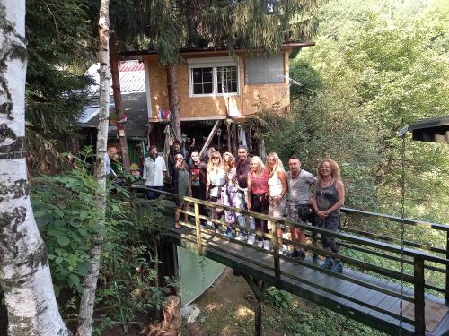 tree house - image 7