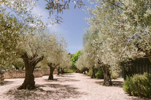 Domaine de la Pierre Blanche