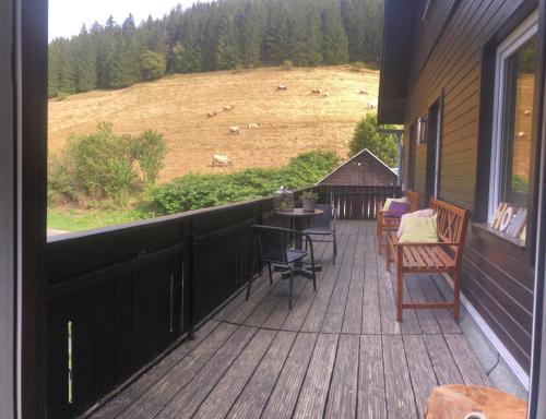 陽台/露台, Pension Obere Juchhe in Thuringen Kleines, familiares Pension mit 4 Zimmern und einem geraumigen Apa in 格雷芬塔爾