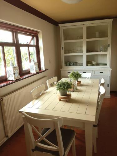 Winsum - Groningen - 6 pers. Cosy Cottage - Op en Bie t Woater