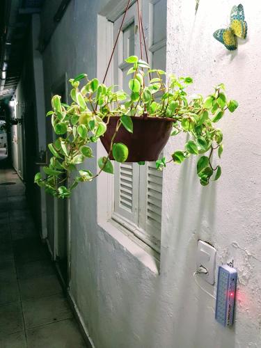 Sobrado Botafogo Guesthouse – Rio de Janeiro, VA