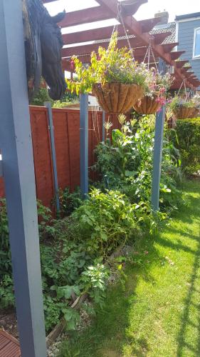 Mango Lodge in เคนท์