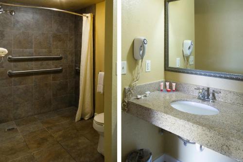 Woodridge Inn and Suites - 화장실