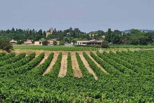 Diamond - Gîte dans vieux prieuré près de Carcassonne