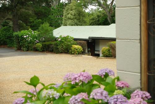 المرافق, بلاك هيث موتور إن (Blackheath Motor Inn) in بلاك هيث