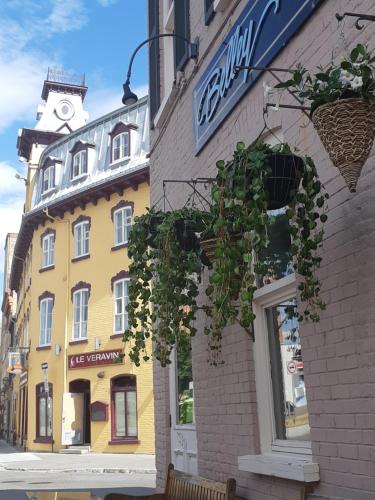 Hotel Belley — other in 249 Rue St-Paul, Quebec City, G1K 3W5, Canada