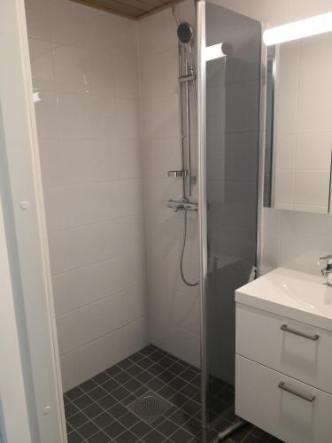 Baño, Levi Ski-Star 220 in Levi