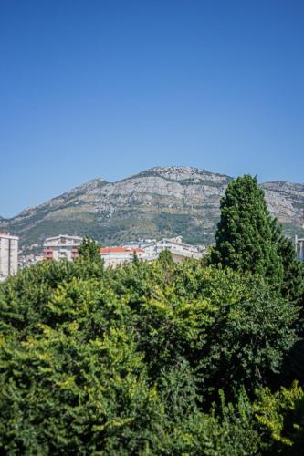 Apartment Emili City Center - main image