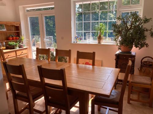 Woodland Views in Milton Abbas