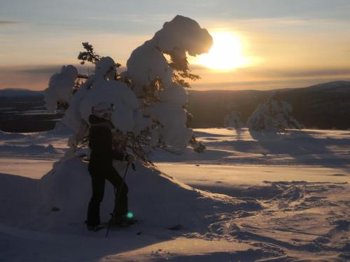 Deportes y ocio, Levi Ski-Star 220 in Levi