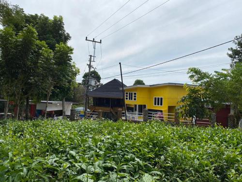 Villa Rumah Terbalik Pagar Alam