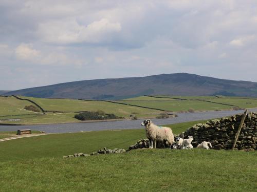 Hill Top Cottage - image 10