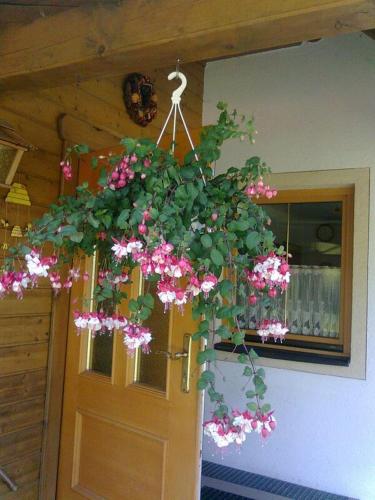 บริการและสิ่งอำนวยความสะดวก, Appartement Pension Grasser in บาด ไคลน์คีชไฮม์