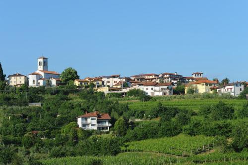 Belica Bed and Breakfast - image 9