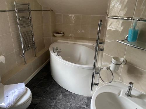 Thelbridge Cross Inn - image 3
